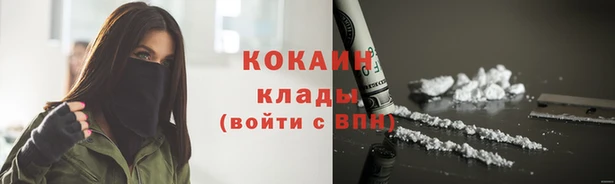 дмт Аркадак