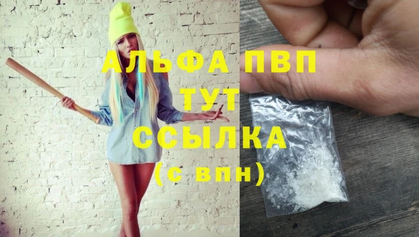 дмт Аркадак