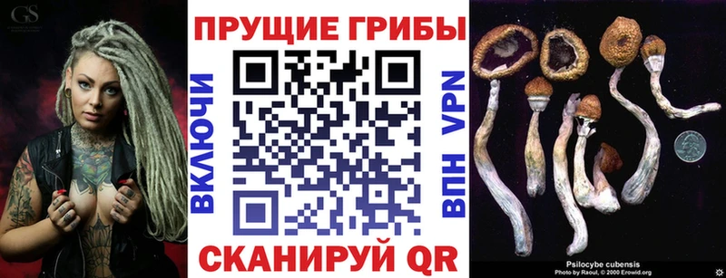 blacksprut ссылка  Верхнеуральск  Галлюциногенные грибы Psilocybe 